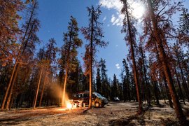 Wapiti Campground | Campsites - Rated 4.3
