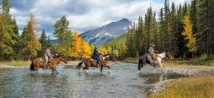 Warner Stables - Banff Trail Riders | Horseback Riding - Rated 4.7
