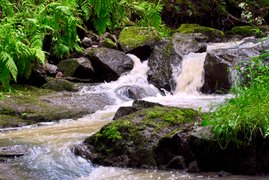 Waterfall Hidden Treasure | Waterfalls,Nature Reserves - Rated 3.8