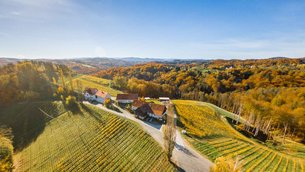 Johann Schlosinger Winery in Austria, Lower Austria | Wineries - Rated 0.9
