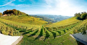 Tement GmbH in Austria, Styria | Wineries - Rated 0.8