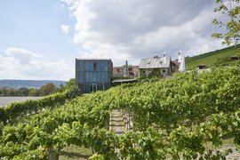 Clauer Winery in Germany, Baden-Wurttemberg | Wineries - Rated 0.8