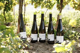 Drei Herren Winery in Germany, Saxony | Wineries - Rated 0.8
