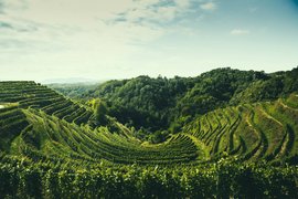 Weingut Gross in Austria, Styria | Wineries - Rated 0.9