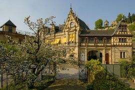 Muller-Catoir Winery in Germany, Rhineland-Palatinate | Wineries - Rated 0.9