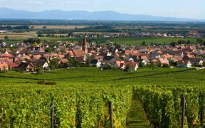 Domstein Wine House in Germany, North Rhine-Westphalia | Wineries - Rated 0.8