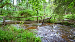 Weserbach to the Hohes Venn in Belgium, Brussels-Capital Region | Trekking & Hiking - Rated 0.9