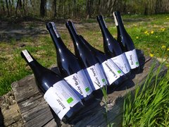 Wieliczka Vineyard | Wineries,Bars - Rated 0.9