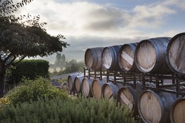 Winery Dosen | Wineries - Rated 0.9