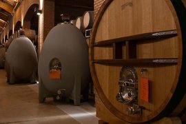 Winery Koyle in Chile, O'Higgins Region | Wineries - Rated 0.9