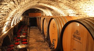 Winery Marijanovic in Bosnia and Herzegovina, Herzegovina-Neretva Canton | Wineries - Rated 0.9
