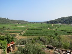 Winery Milos in Croatia, Dubrovnik-Neretva | Wineries - Rated 0.9