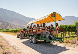 Winery Terramater | Wineries - Rated 4
