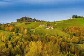 Winery Tschermonegg in Austria, Styria | Wineries - Rated 0.9