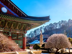 Woljeongsa in South Korea, Gwandong | Architecture - Rated 3.6