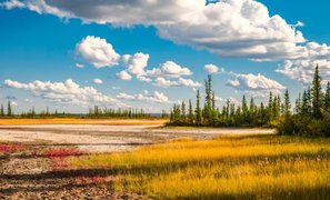 Wood Buffalo National Park | Parks - Rated 3.3