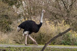 Woodland Park Zoo | Zoos & Sanctuaries - Rated 5.1