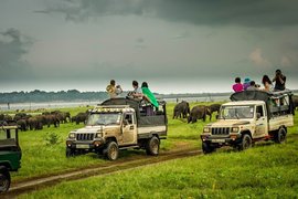 Yala National Park | Parks,Safari - Rated 3.7