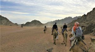 YallaHorse in Egypt, Red Sea Governorate | Horseback Riding - Rated 0.9