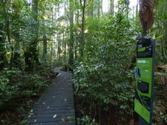 Yarndleys Bush in New Zealand, Waikato | Nature Reserves,Trekking & Hiking - Rated 0.8