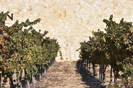 Yehuda Winery in Israel, Central District | Wineries - Rated 0.9