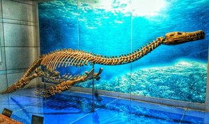 Zigong Dinosaur Museum in China, South Central China | Museums - Rated 3.5
