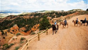 Zion Canyon Trail Ride at Jacobs Ranch in USA, Utah | Horseback Riding - Rated 1.1