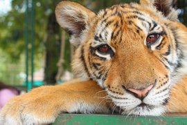 Zoo Lujan | Zoos & Sanctuaries - Rated 4.1