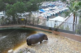 Zoological Garden of Monaco in Monaco, Monaco | Zoos & Sanctuaries - Rated 3.3