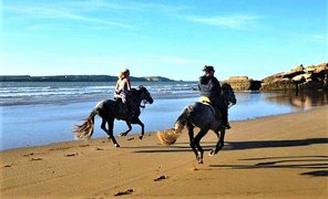 Zouina Cheval | Horseback Riding - Rated 1