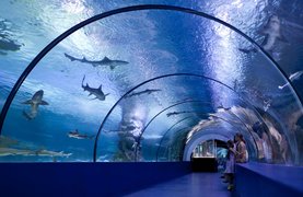The Osaka Aquarium Kaiyukan