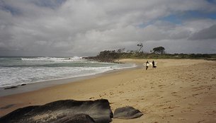 Angourie Point Beach in Australia, New South Wales | Surfing,Beaches - Rated 0.7
