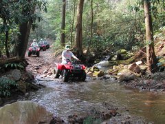 Bluff Mountain Adventures | ATVs - Rated 3.9