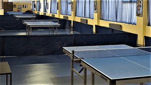 BGSpin - stoni tenis | Ping-Pong - Rated 0.8