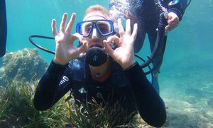 Nike Diving Taormina in Italy, Sicily | Scuba Diving - Rated 3.7