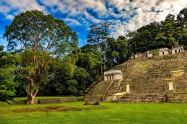 Bonampak in Mexico, Chiapas | Excavations - Rated 3.7