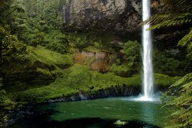 Bridal Veil Falls in New Zealand, Waikato | Waterfalls - Rated 3.8