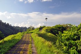 Campuhan Ridge Walk in Indonesia, Bali | Parks - Rated 3.7
