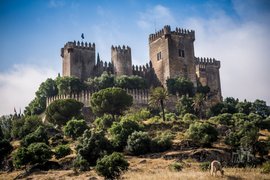 Castillo Almodovar del Rio in Spain, Andalusia | Castles - Rated 4