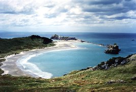 Castlepoint Beach in New Zealand, Wellington | Surfing,Beaches - Rated 3.9