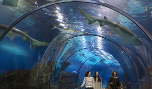 Barcelona Aquarium | Aquariums & Oceanariums - Rated 7.5