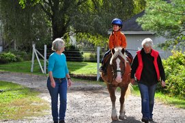 St Leonard's Riding School and Livery Yard in United Kingdom, East Midlands | Horseback Riding - Rated 0.8