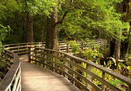 Corkscrew Swamp Sanctuary | Zoos & Sanctuaries - Rated 6