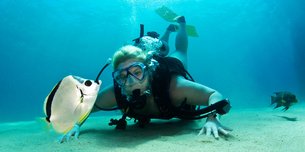 Try Scuba Diving - Los Cabos | Scuba Diving - Rated 4.1