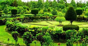 Jardin Botanique Cayes | Botanical Gardens - Rated 0.7