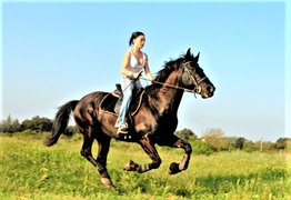 Skudru Stallī, Zirgu izjades in Latvia, Zemgale | Horseback Riding - Rated 1