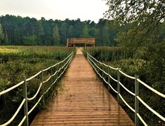 Kazdanga Park Nature Trail in Latvia, Courland Region | Trekking & Hiking - Rated 0.8