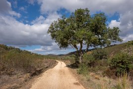 Via Algarviana in Portugal, Algarve | Trekking & Hiking - Rated 0.8
