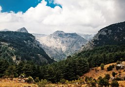 Tannourine Cedars Reserve in Lebanon, North Governorate | Nature Reserves,Trekking & Hiking - Rated 3.8