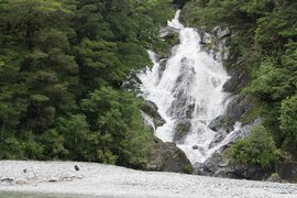 Fantail Falls in New Zealand, West Coast | Waterfalls - Rated 3.6
